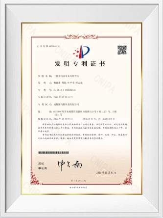 patent-1